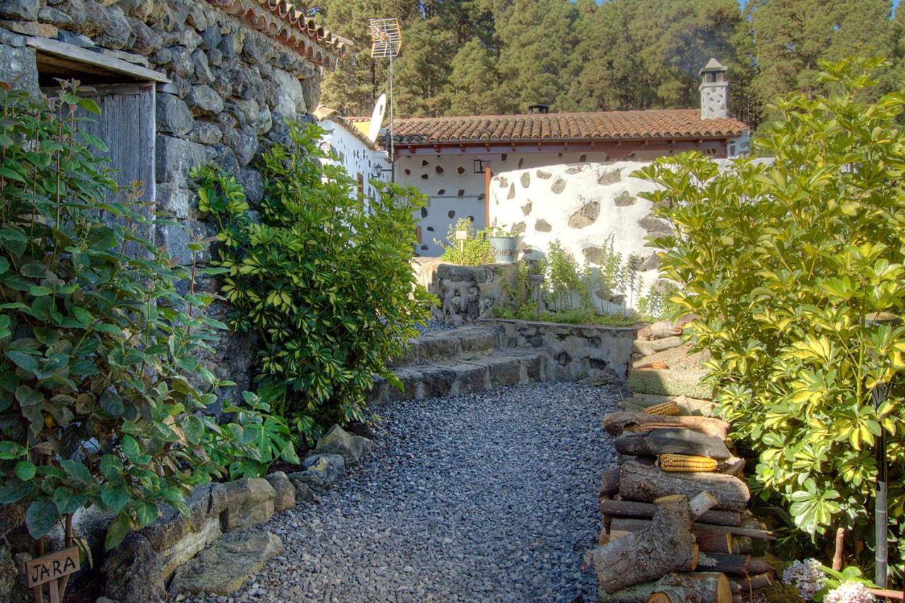 Holidaynorthtenerife Casa Rural Montiel Ікод-де-лос-Вінос Екстер'єр фото